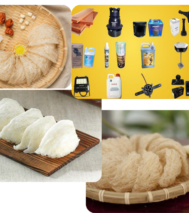 Thiết kế chưa có tên